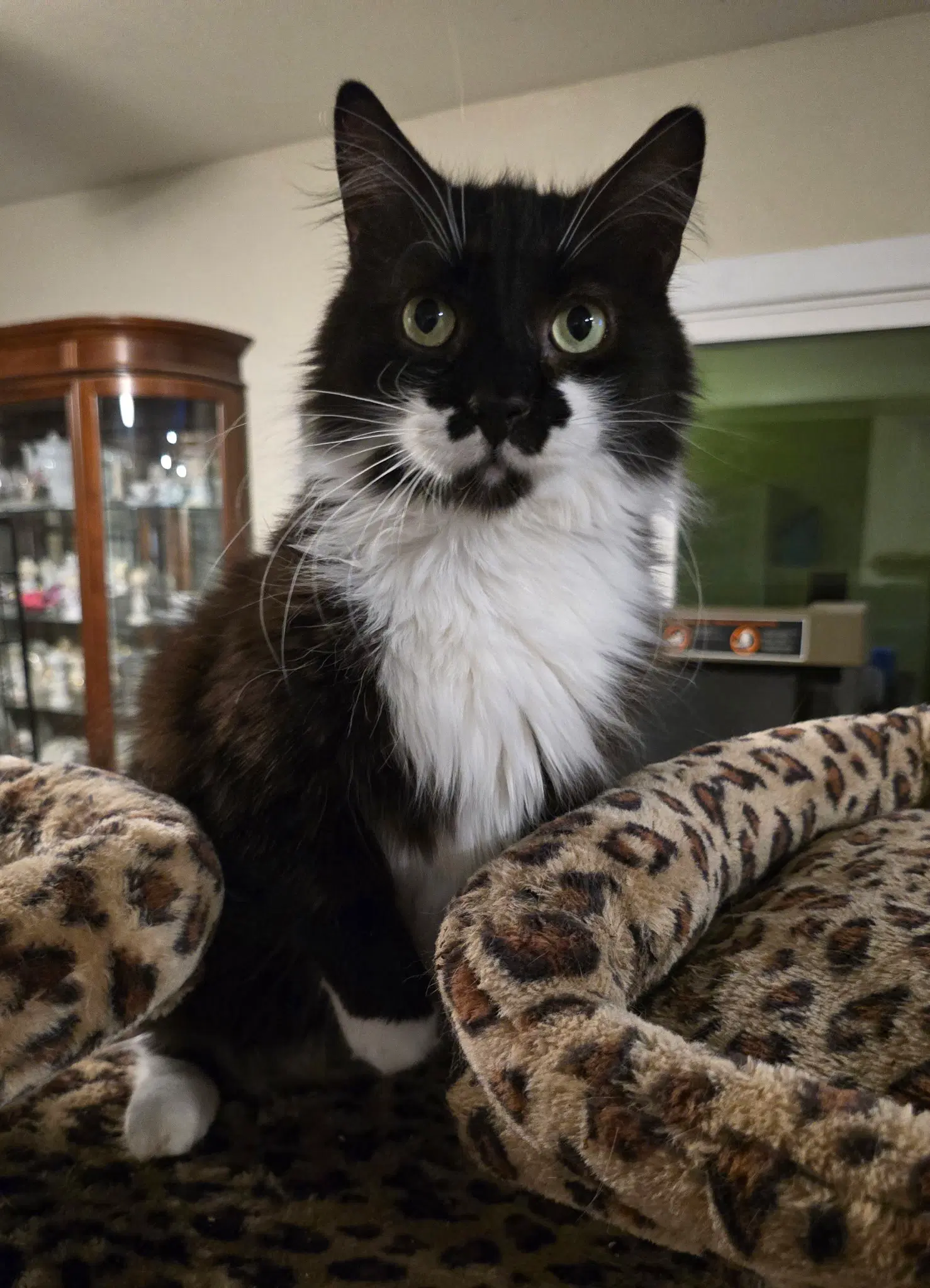 Charlie image 4