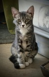 Duncan