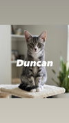 Duncan