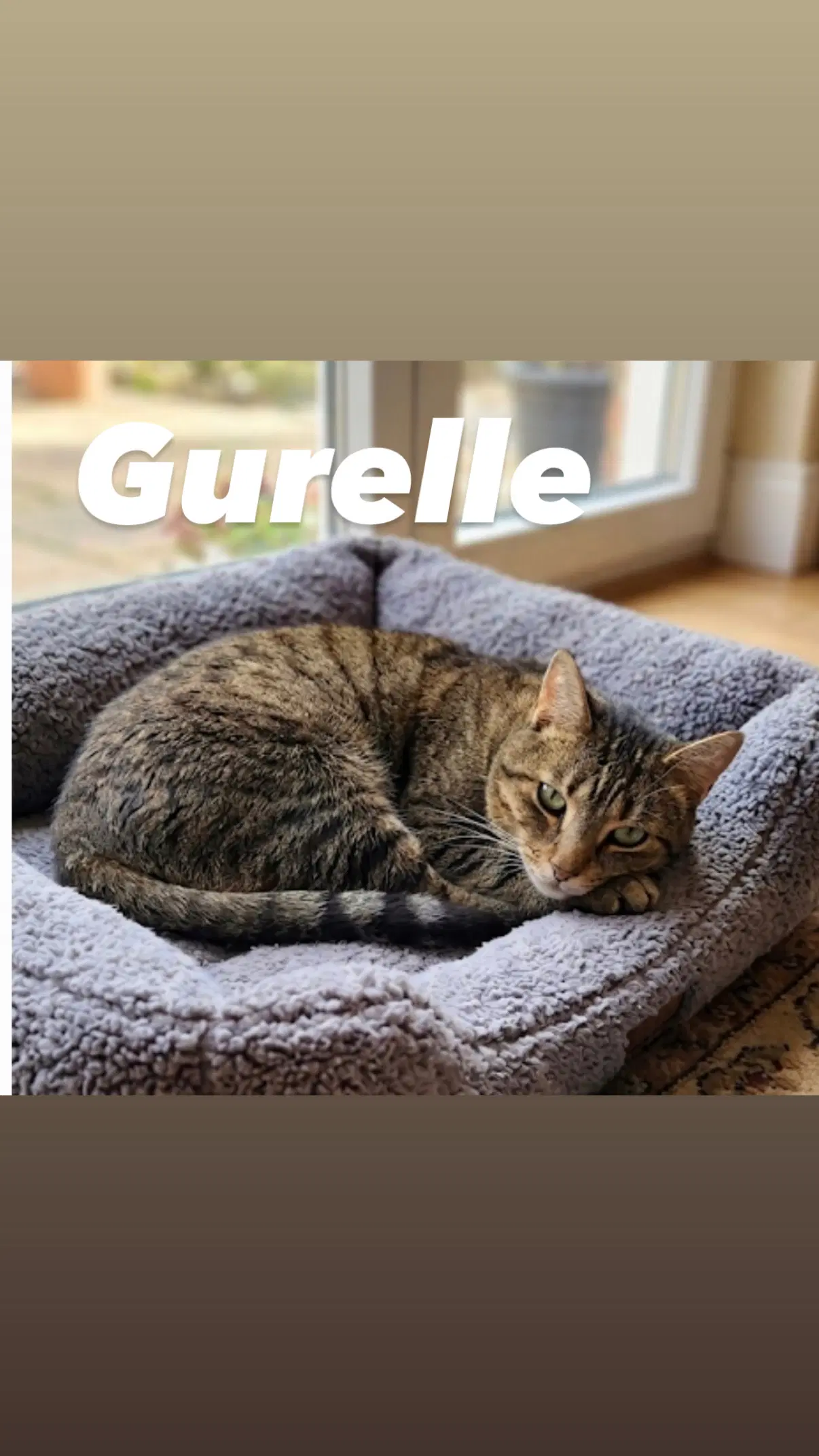 Gurelle image 3