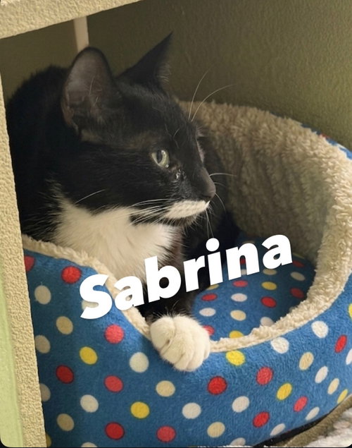 Sabrina photo 2