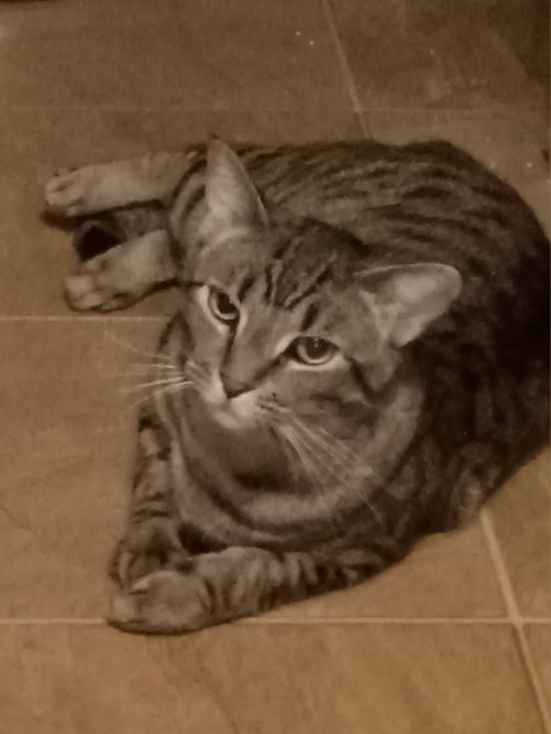 Leonard