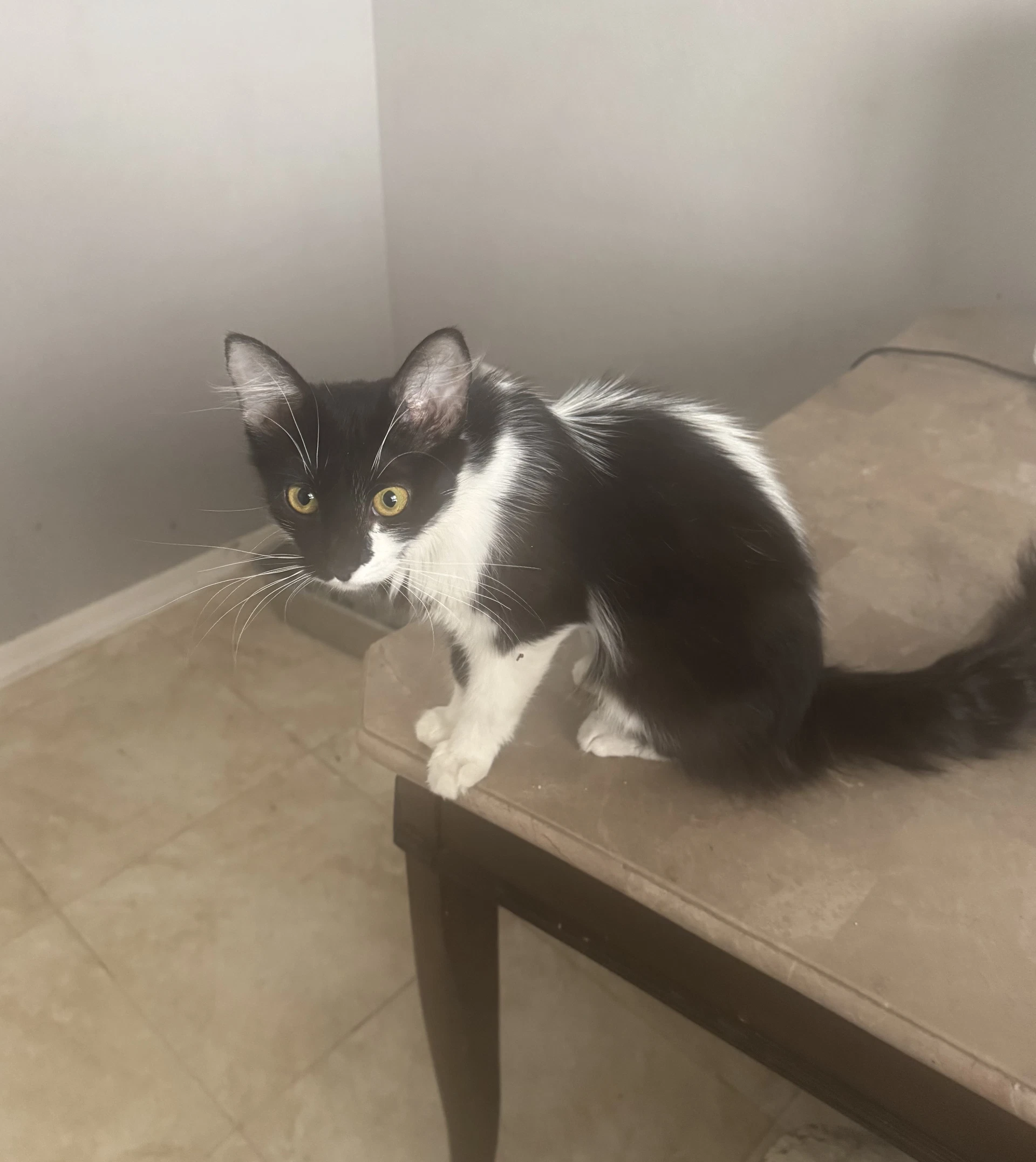 Luna
