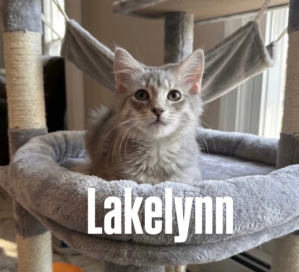 Lakelyn