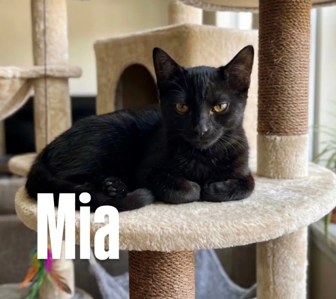 Mia image 2
