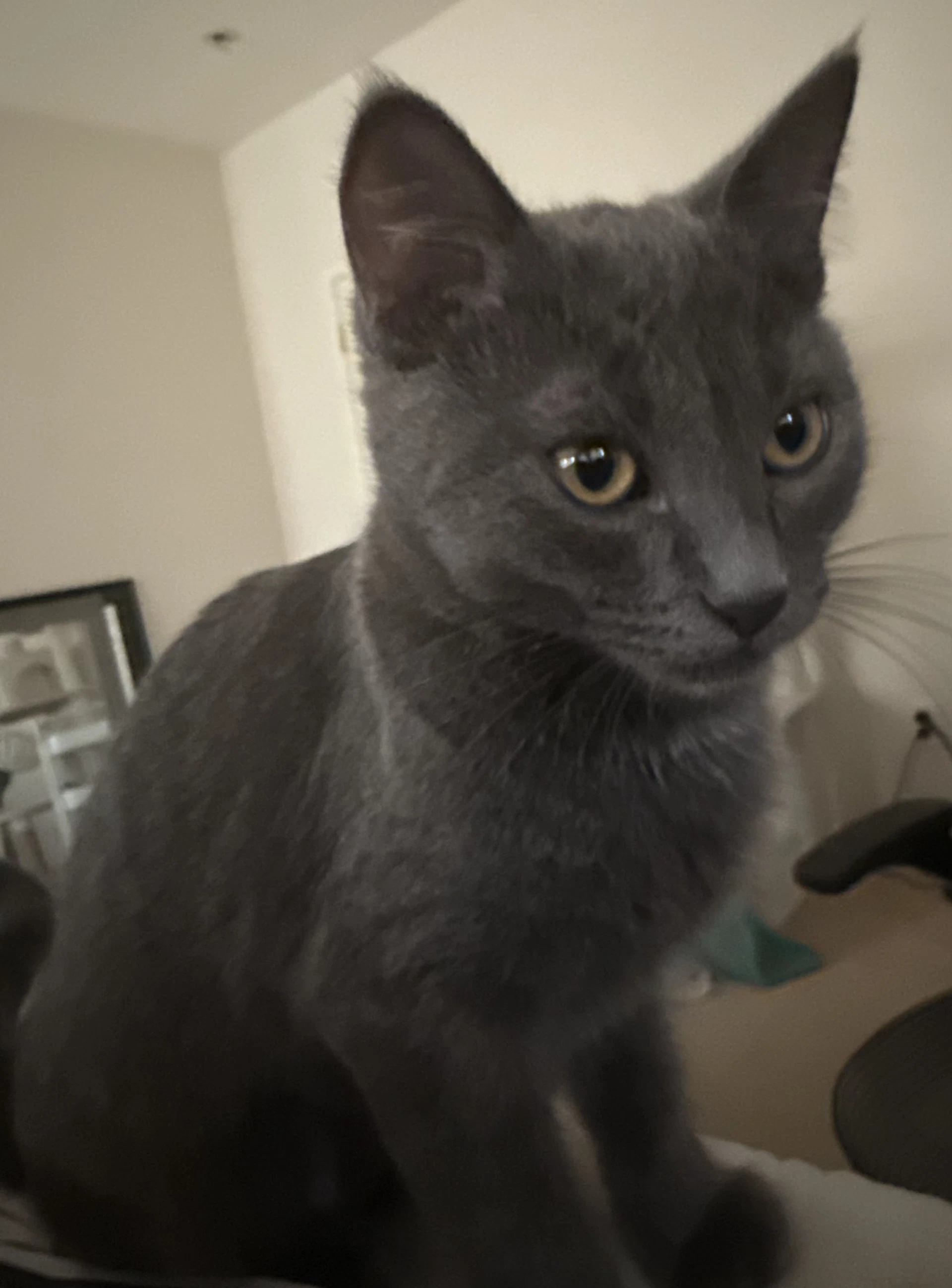 Tom