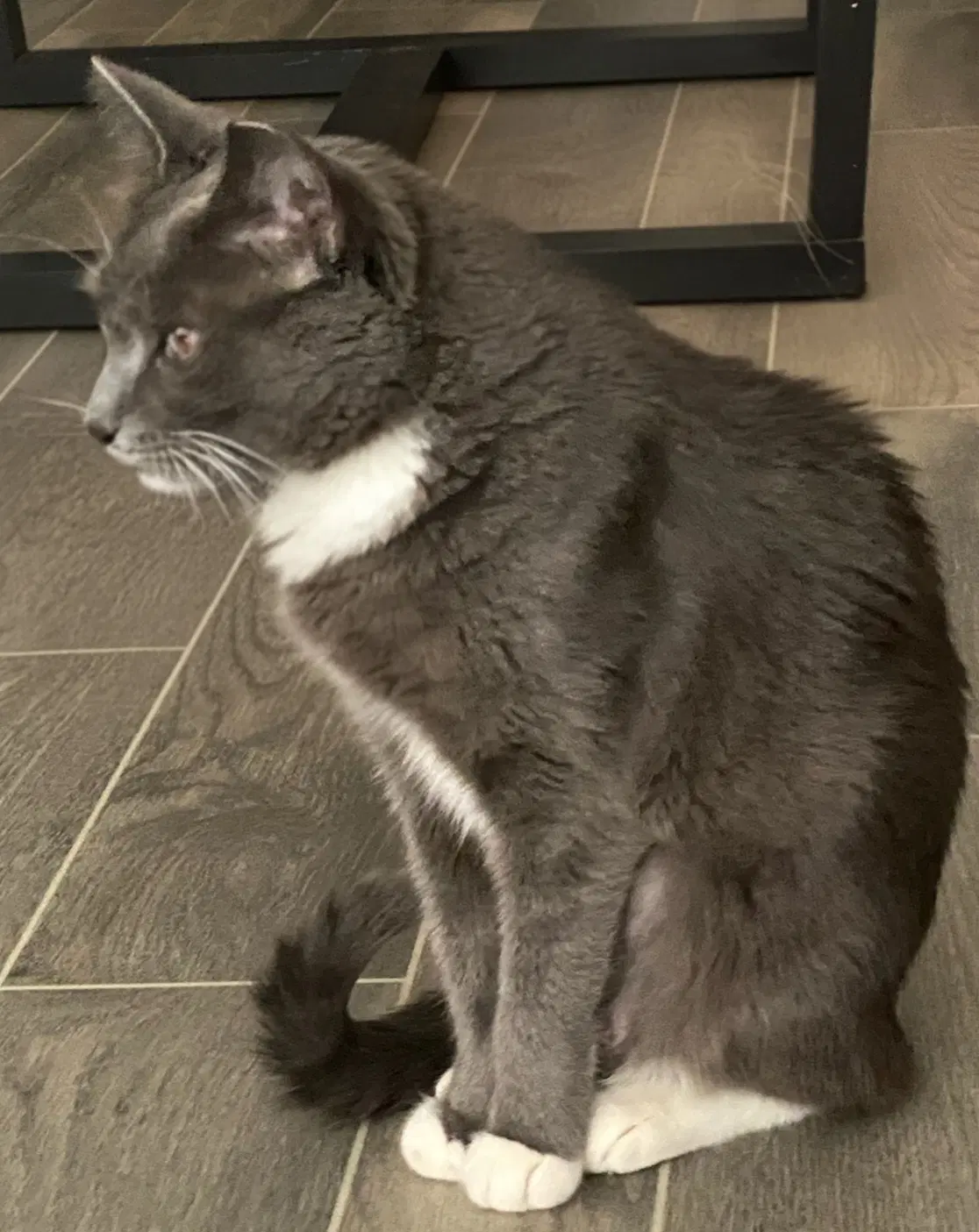 Mia image 2