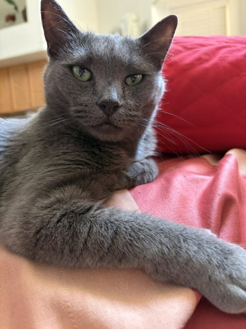 Mimi, photo 2