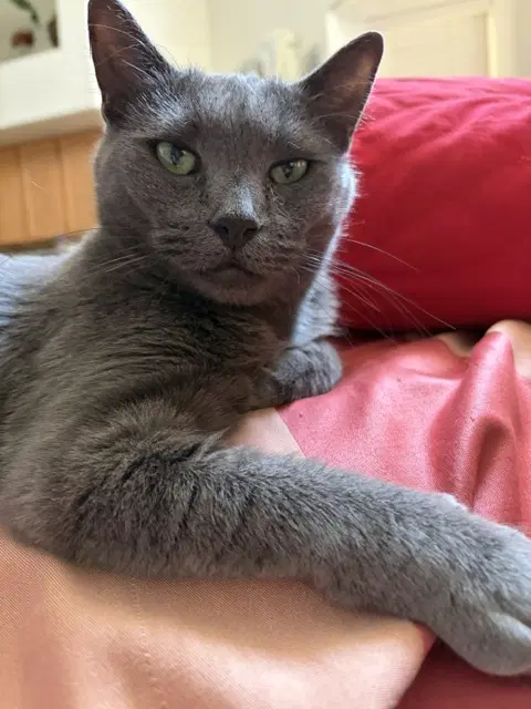 Mimi image 2