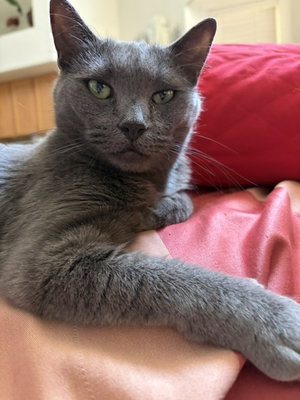 Mimi, photo 2