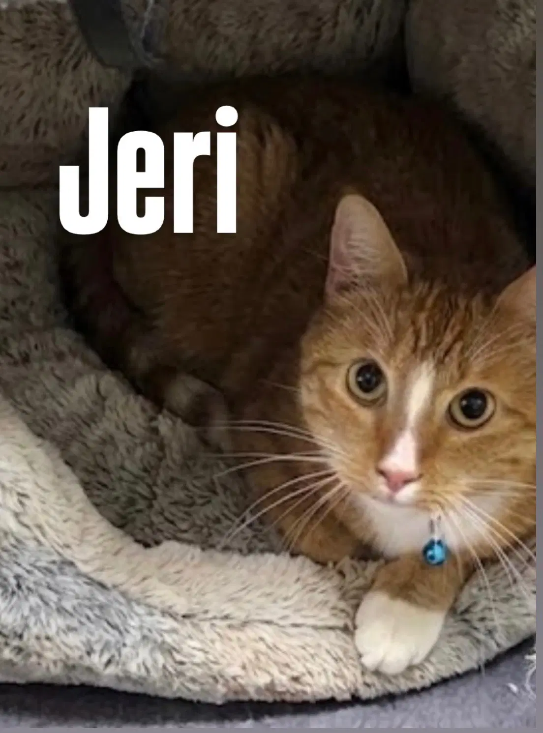 Jeri image 2