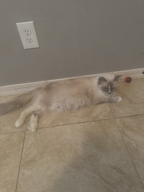 Photo 2 of Kiki