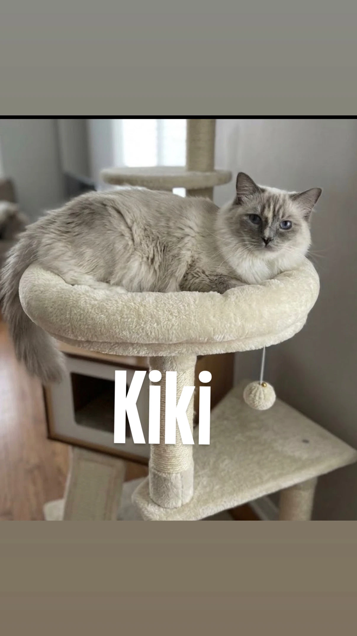 Kiki