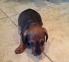 Jilly