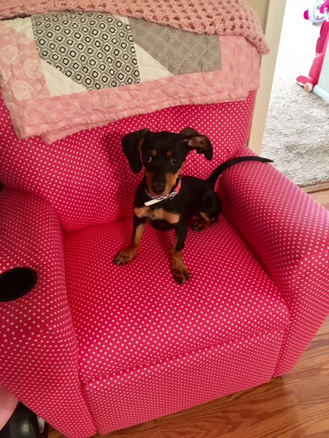 Bella