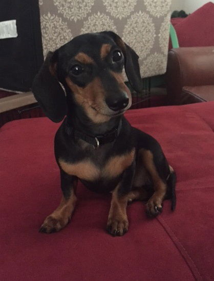 Bertie