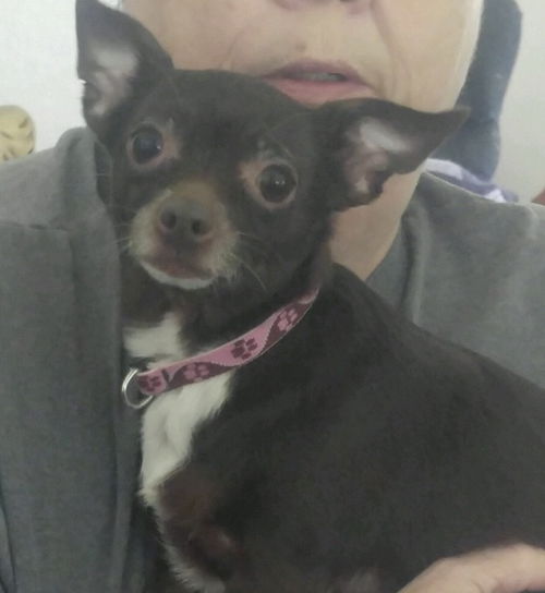 Lola