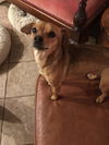 Jenny