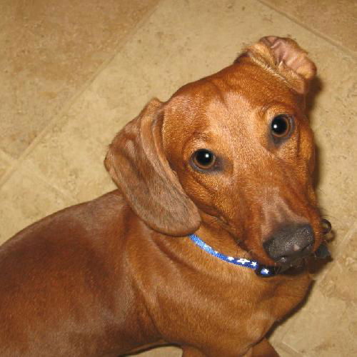 Rusty