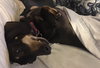 Molly
