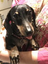 Molly