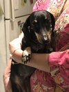 Molly