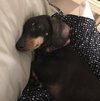 Molly