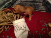 May