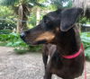 Bessie