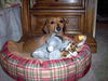 Trudy