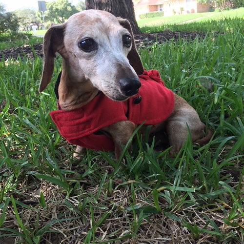 Bella