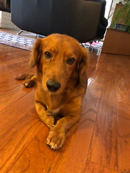 Rusty