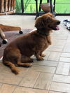 Rusty