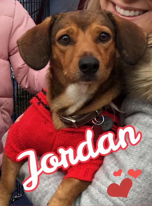 Jordan