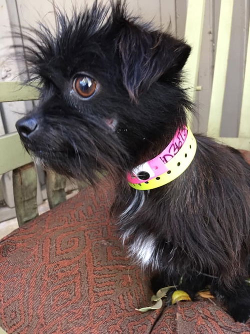 Darla