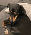 Winnie