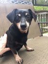 Bitsy