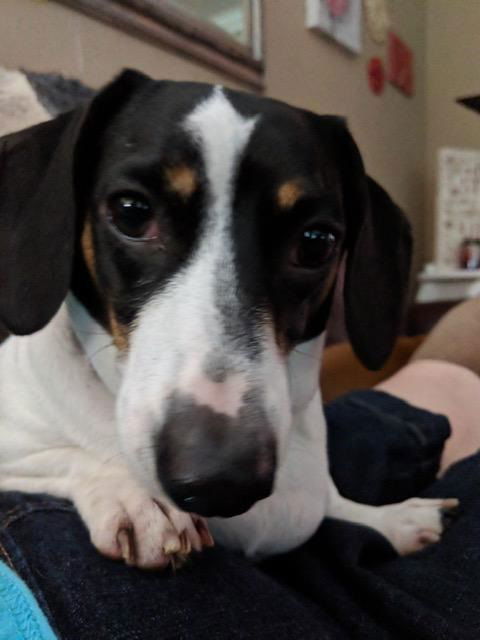 Lou