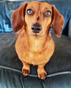 Libby