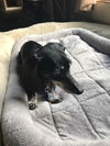 Magnolia aka Maggs