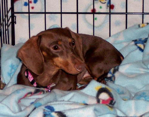 Nora