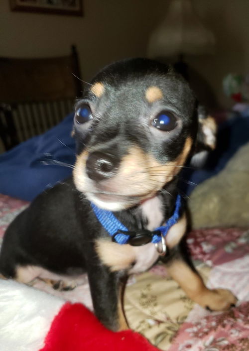 Rudy