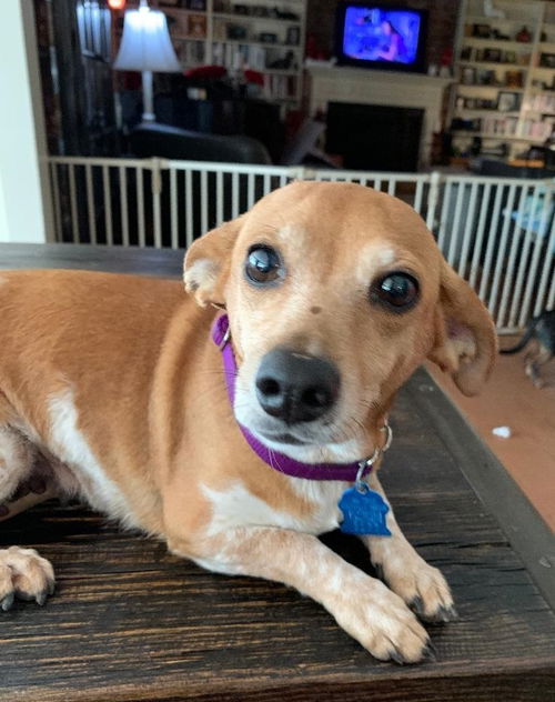 Bella Sue