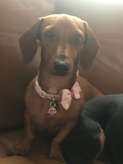 Bella