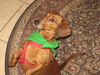 Augie