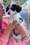 Layla Lou