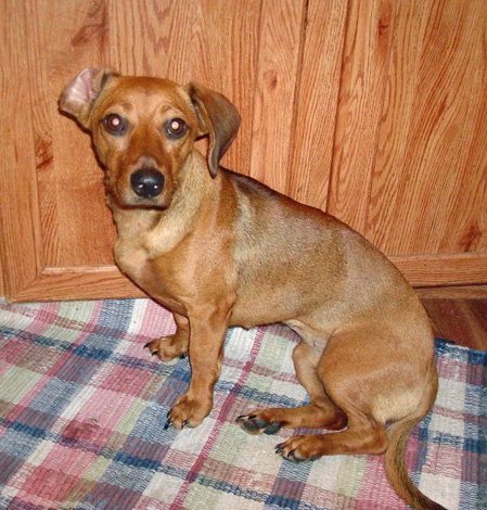 Mya