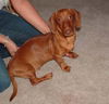 Rusty