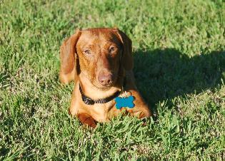 Rusty