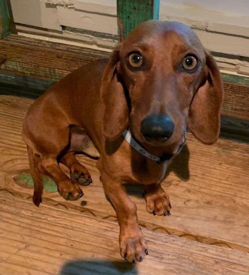 Otis